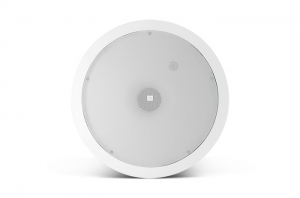 Loa JBL Subwoofer Control 19CS
